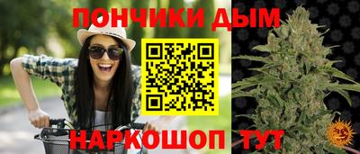 стаф Пенза