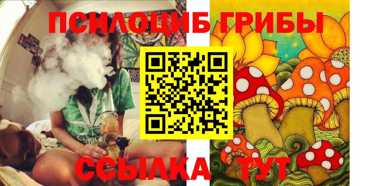 Псилоцибиновые грибы GOLDEN TEACHER Реутов